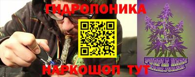 кокс Шебекино