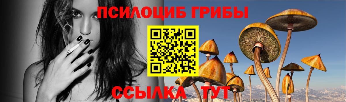 Братск  Галлюциногенные грибы MAGIC MUSHROOMS  Вход с VPN  Псилоцибиновые грибы мухоморы 